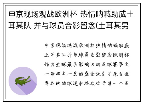 申京现场观战欧洲杯 热情呐喊助威土耳其队 并与球员合影留念(土耳其男篮申京)