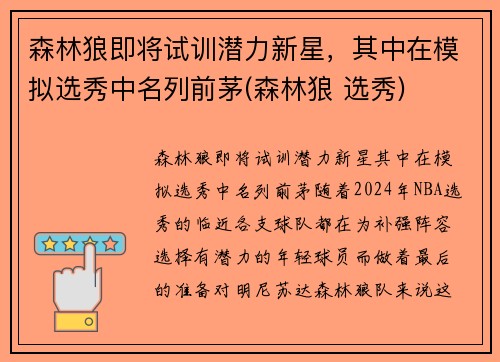 森林狼即将试训潜力新星，其中在模拟选秀中名列前茅(森林狼 选秀)